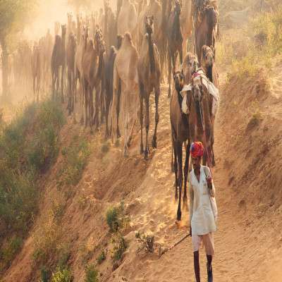 Pushkar Fair Place to visit